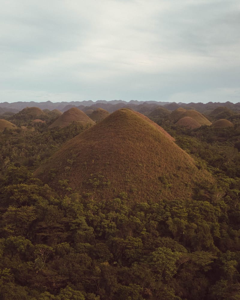 BOHOL WOW TOURS 3D/2N