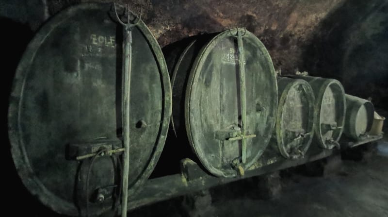 From Ancient Cellars to Cobra Wine: Fascinating Facts About Wine