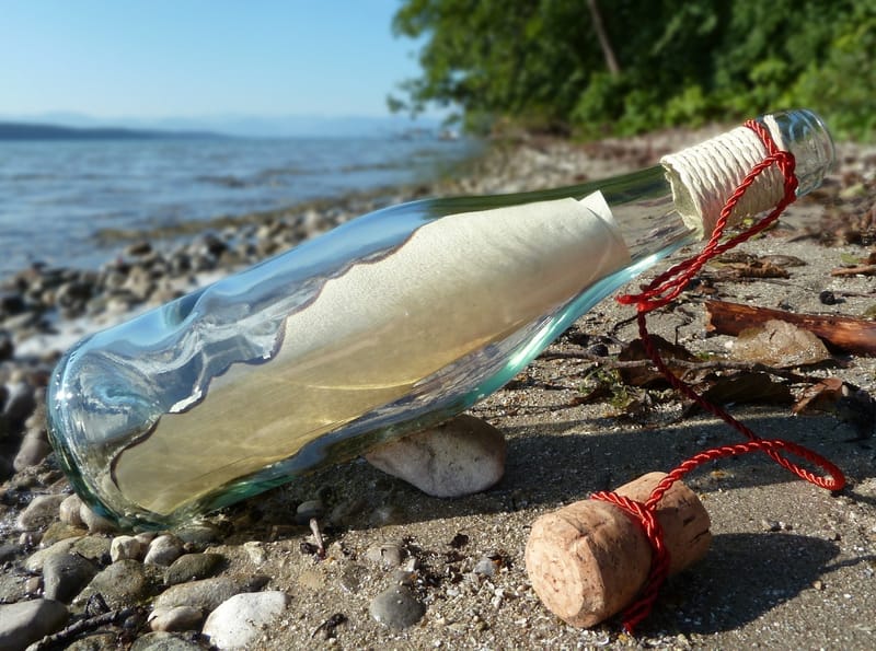 Cork vs. Screw Cap: The Debate That Never Ends