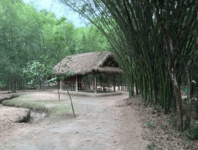 Khám phá địa đạo Củ Chi – Nơi ghi dấu ấn lịch sử vang dội của Sài Gòn