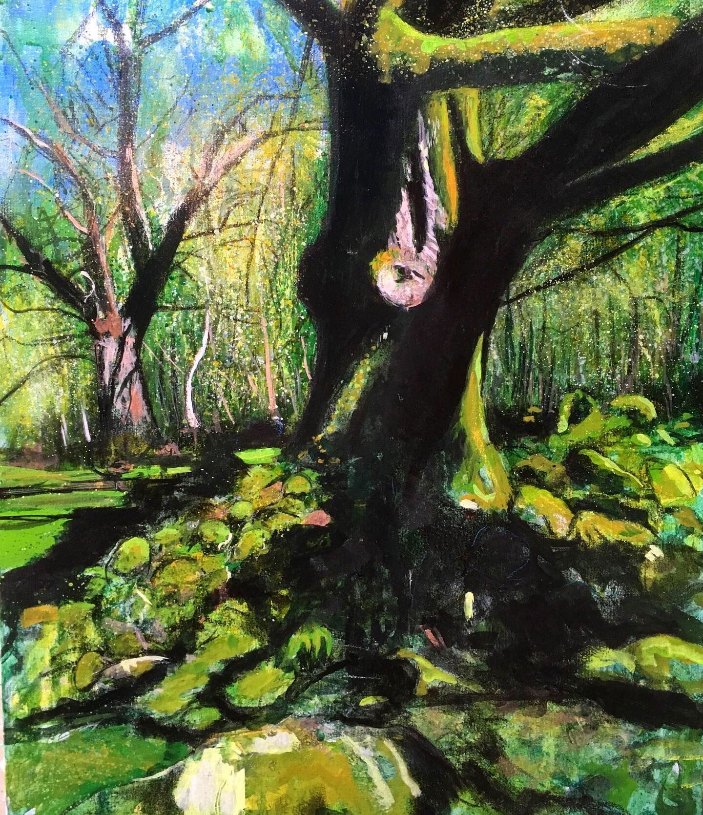 Bryniau Oak