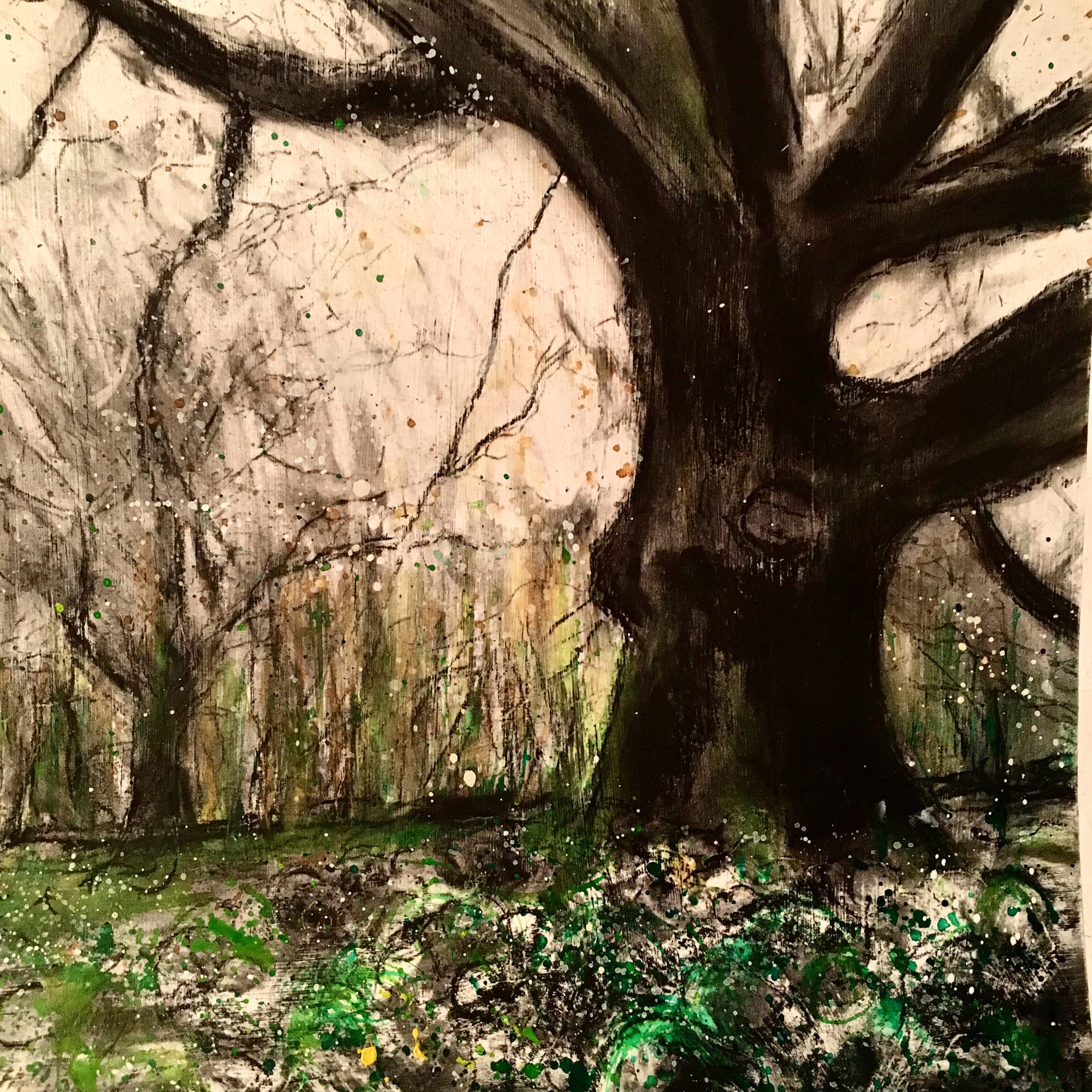 Bryniau Oak