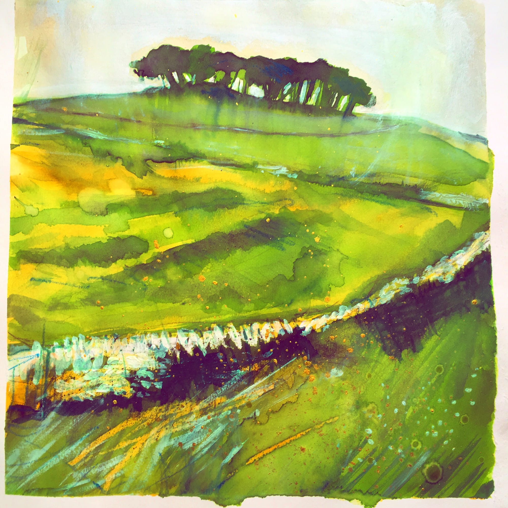 Copse 2 - sketch in the Peak District