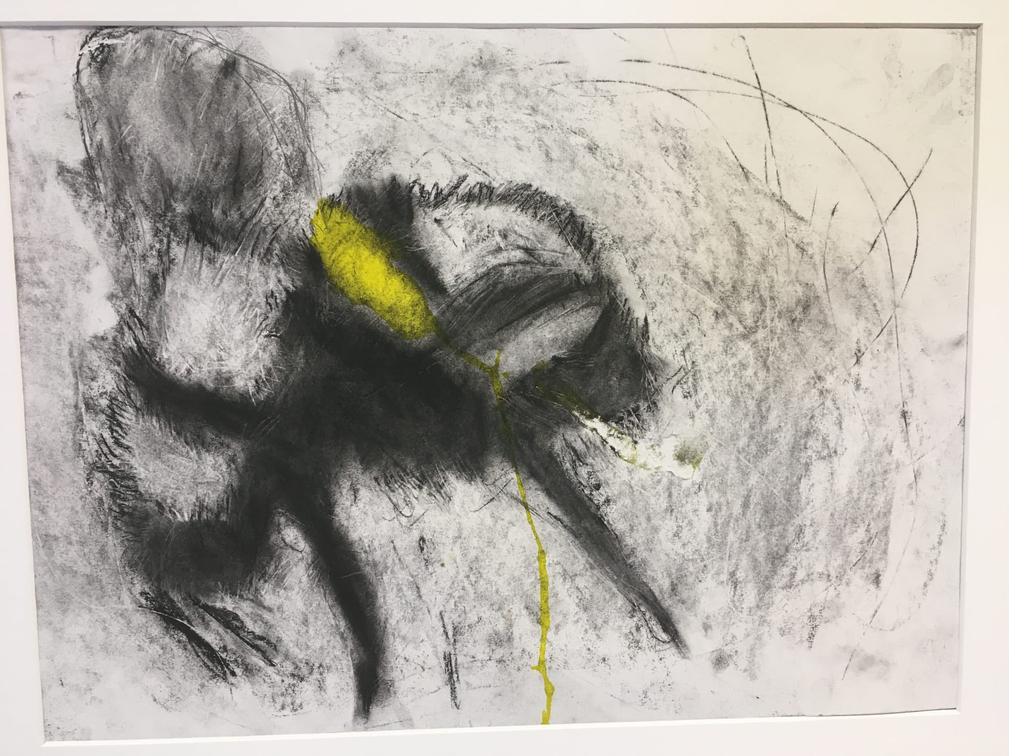 bumble bee  - y4