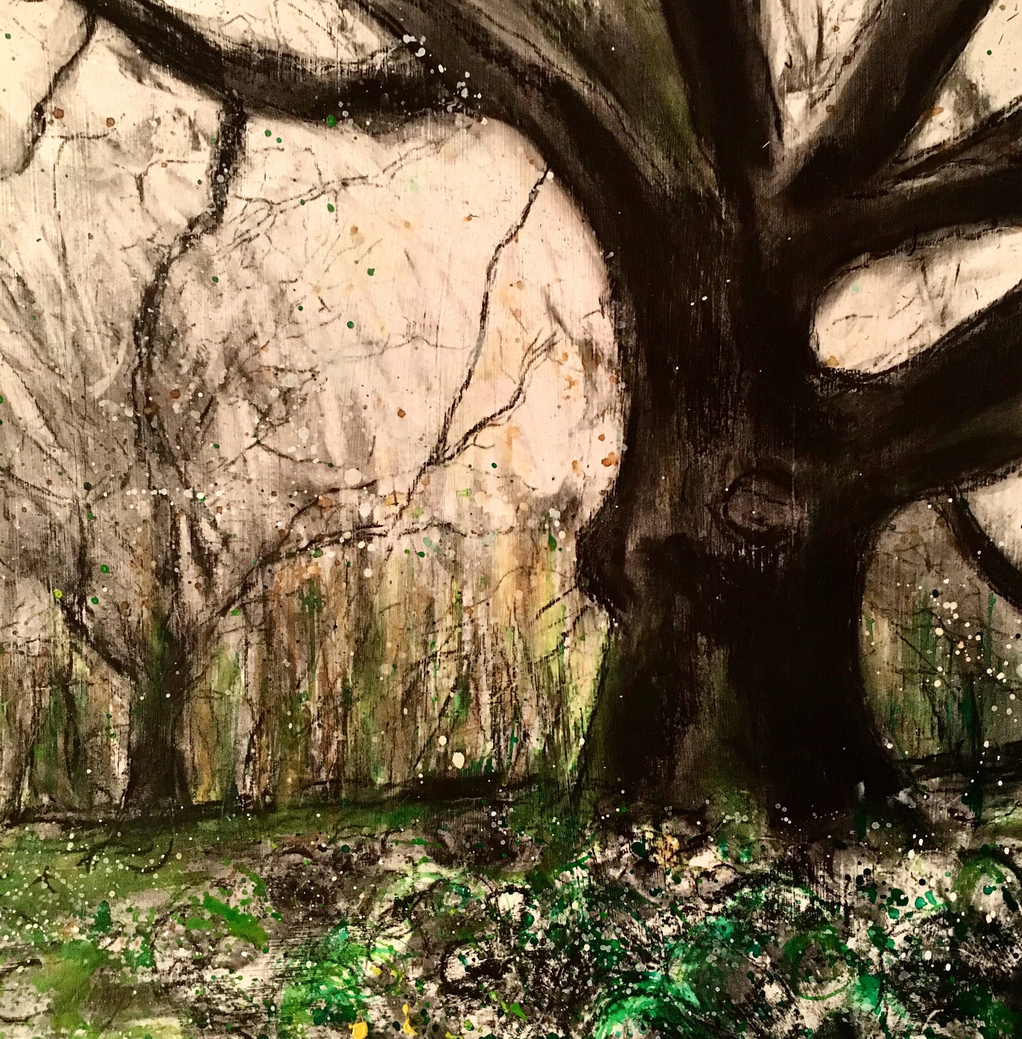 Bryniau Oak