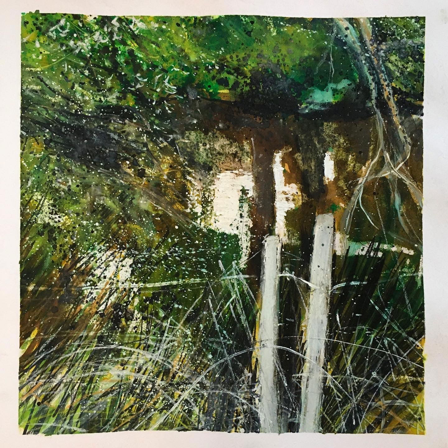 Shelter Isalnd (iv)