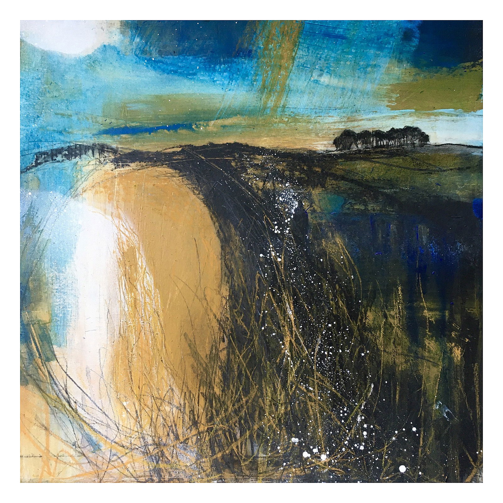 Bowland Moors.. Circling the copse.