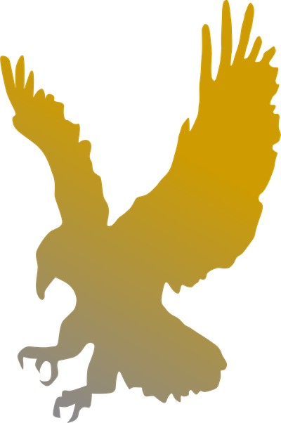 Furious Eagle