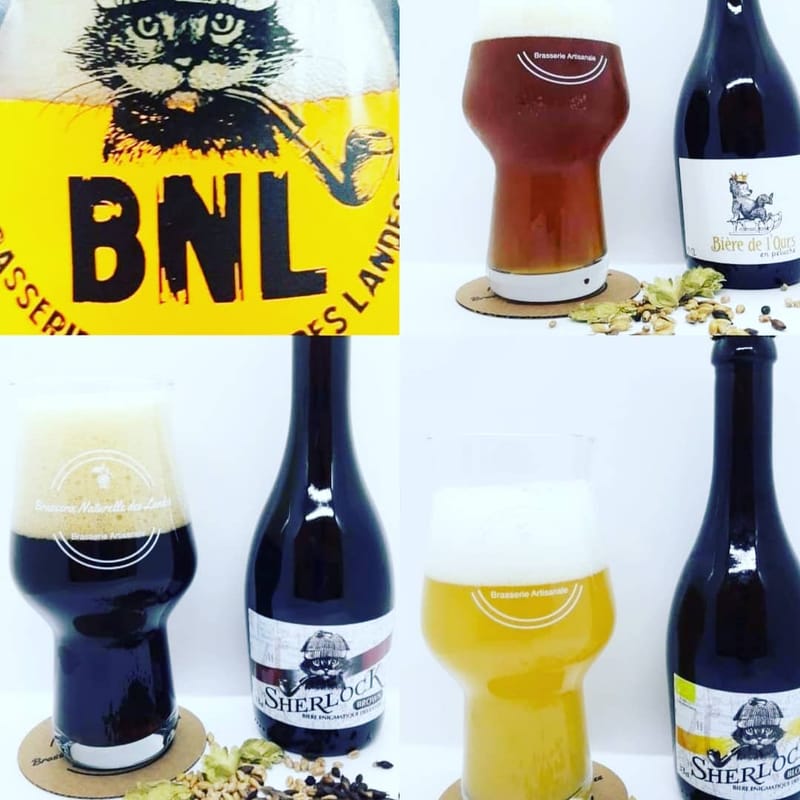 Bières BNL bio 33cl