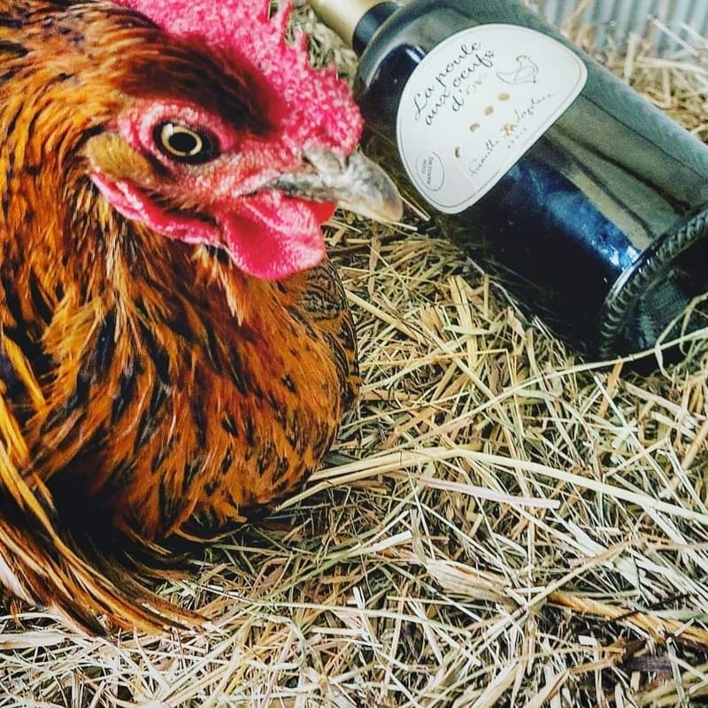 La poule aux oeufs d'or (blanc doux) 75cl