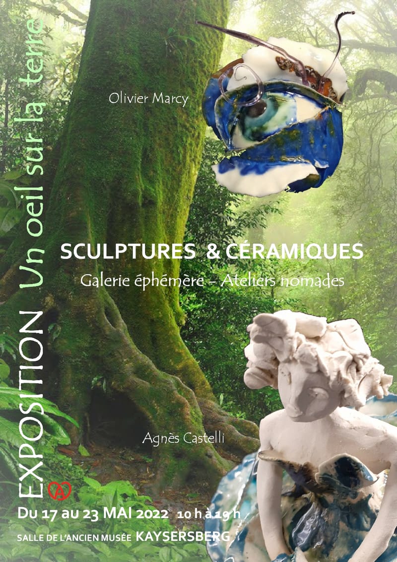 EXPOSITION "Un Oeil sur la Terre"