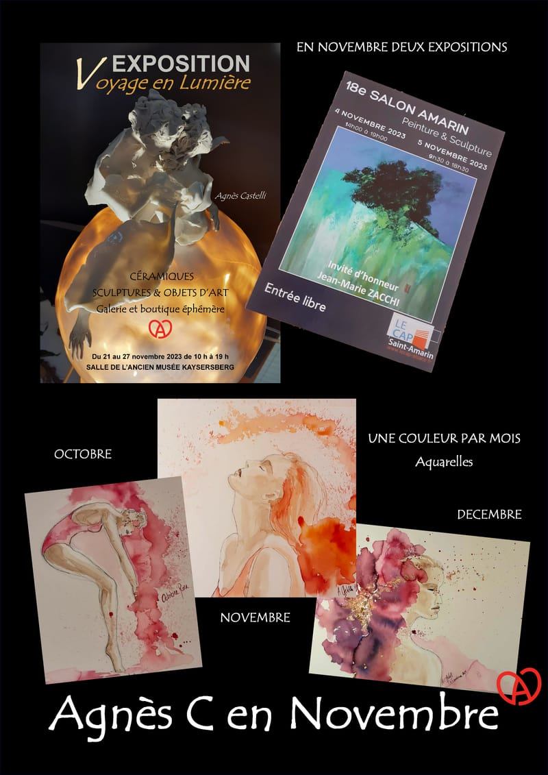 JOURNAL AGNES C NOVEMBRE