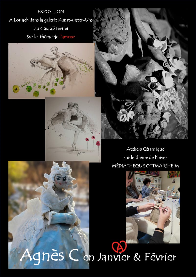 JOURNAL AGNES C JANVIER & FEVRIER