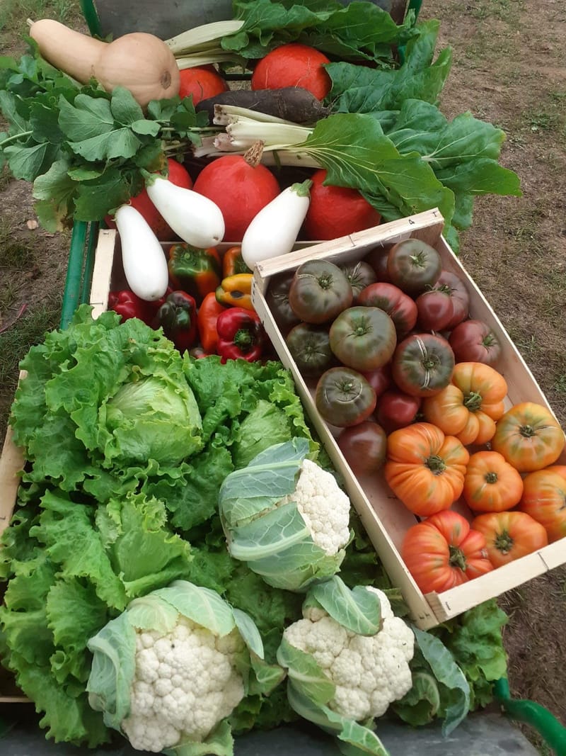 Le Potager de la Vergne