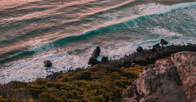 Fatima, Comencé sin darme cuenta. Usar, Llevar y Hablar. "Será sencillo pero no fácil".