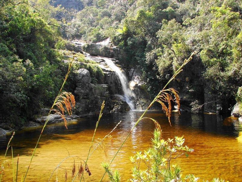 Excursão para PARQUE ESTADUAL DE IBITIPOCA