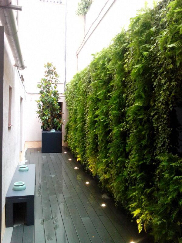 Jardín Vertical en patio interior Restaurante Madrid 2014