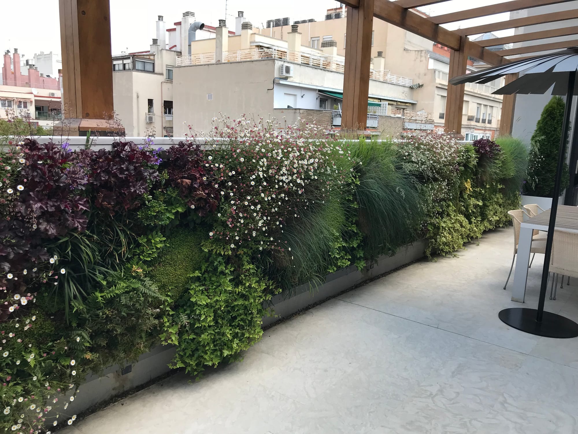 Jardín Vertical Terraza, Casado del Alisal, Madrid 2016