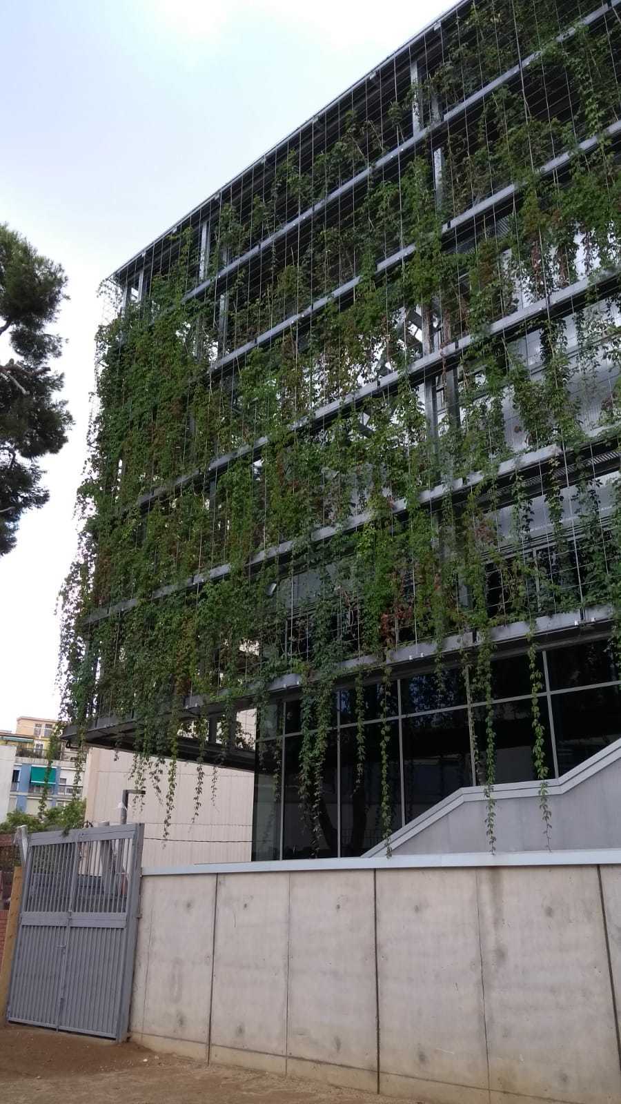 Jardín Pro-Lux Polideportivo Barcelona