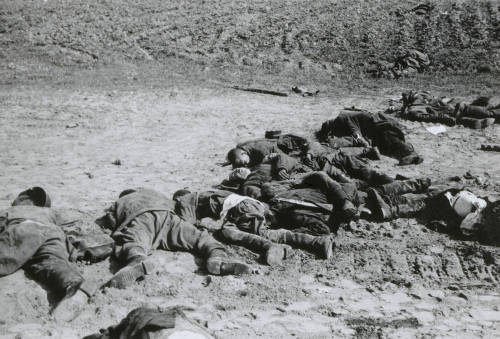 OPERAÇÃO BARBAROSSA