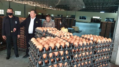 กระทรวงพาณิชย์ นำจับ 2 ฟาร์มไข่ไก่รายใหญ่
