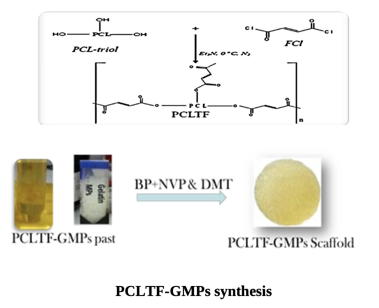 Injectable 3D Scaffold and Bone Tissue Engineering