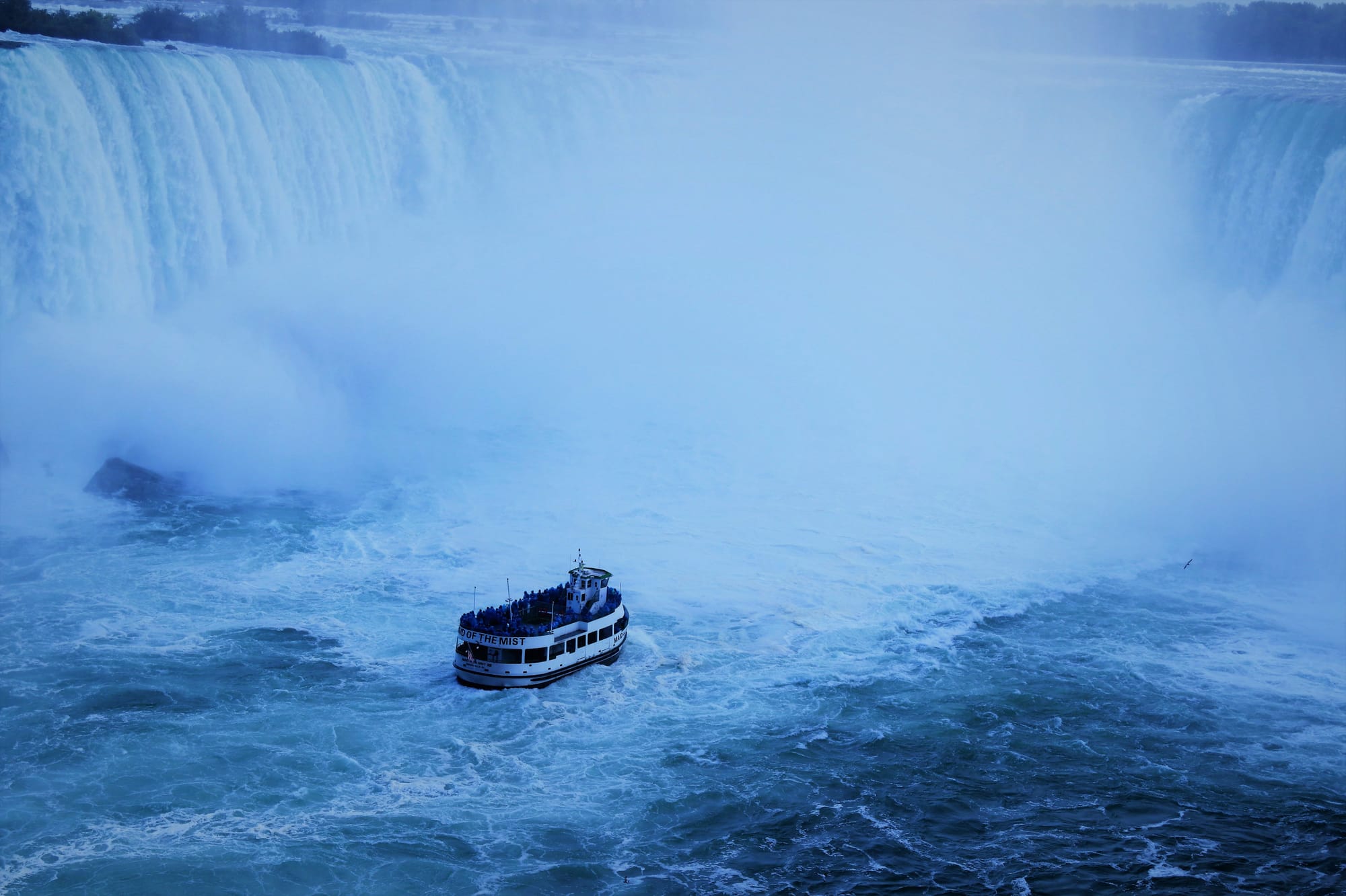 Blue Mist