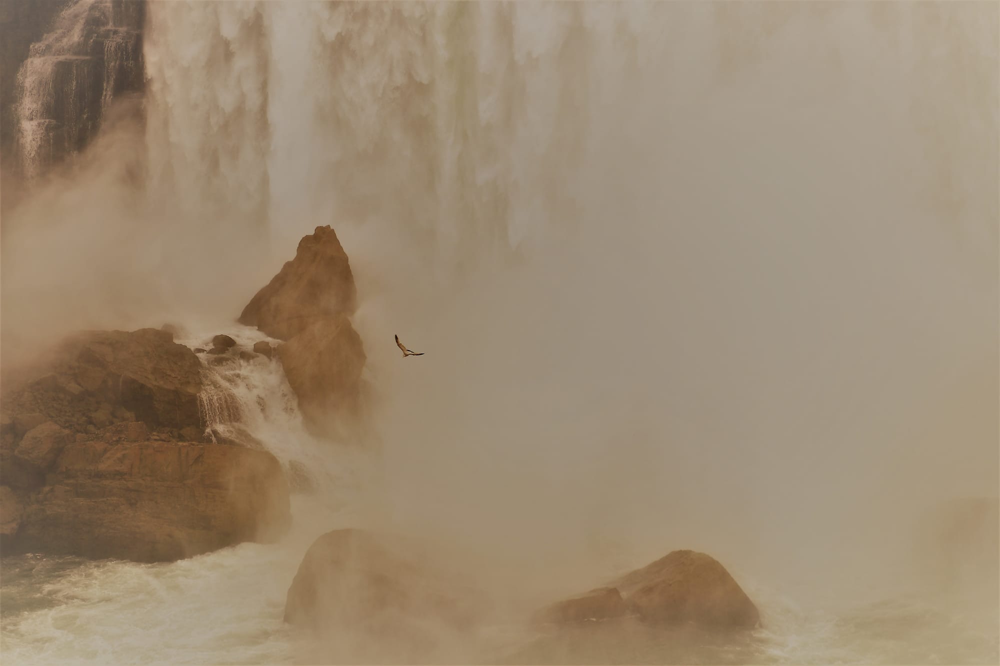 Bird Falls