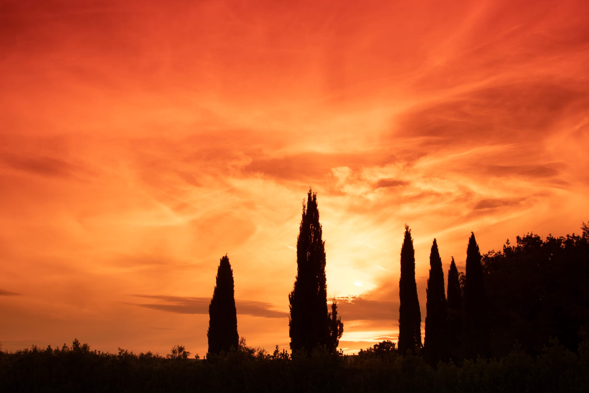 Shepherds Delight