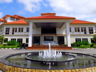 GECKO® C.R.I.S.T.A.L.® Audiophile Clarity for MMMC