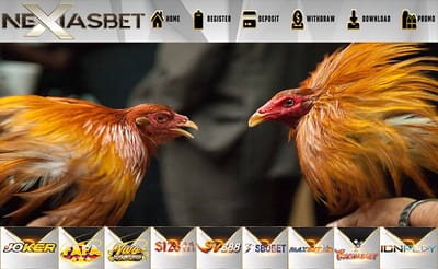 Link Alternatif Apk S128 Judi Ayam Online Terbaik