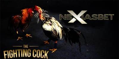 Live Chat S128 Sabung Ayam Online Game Uang Asli