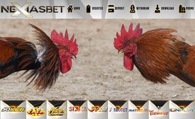 S128 Adu Ayam Online Perjudian Arena Tarung Ayam