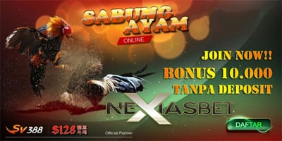 Panggung Khusus Untuk Laga Sabung Ayam Online S128