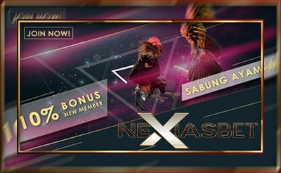 Kabar Penting Mengenai Judi S128 Adu Ayam Online