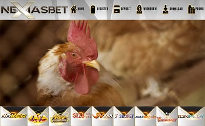 Tarung Ayam Jantan Terbaik Adu Ayam Online S128
