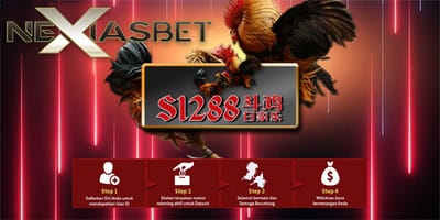 Sabung Ayam Online S128 Cs Arena Live Streaming