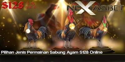 S128 Adu Ayam Online Arena Judi Ayam Jantan Bangkok