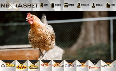 Daftar S128 Adu Ayam Online Indonesia Uang Asli