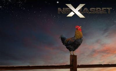 Daftar S128 Ayam Aduan Judi Sabung Ayam Online