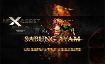 Ayam Bangkok Petarung S1288 Judi Ayam Online Apk