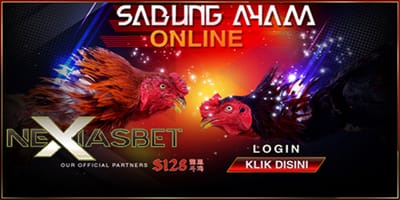 Ayam Bangkok Petarung S1288 Judi Ayam Online Apk