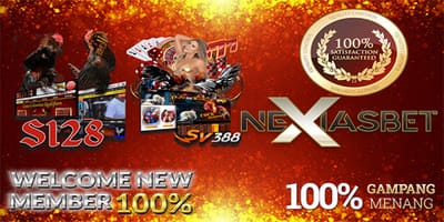 Ayam Petarung Saigon Arena Adu Ayam Online Terbaik