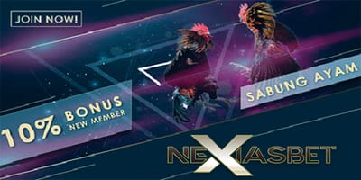 Adu Ayam Bangkok Arena Adu Ayam Online Indonesia