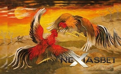 Tarung Ayam Bangkok Bettingan Sabung Ayam Taji