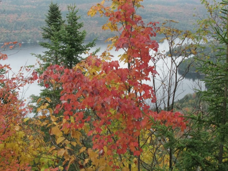 Boucle de la Montagne Verte