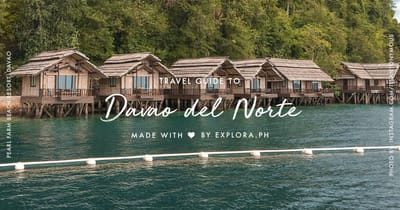 Davao Del Norte (Tagum City)