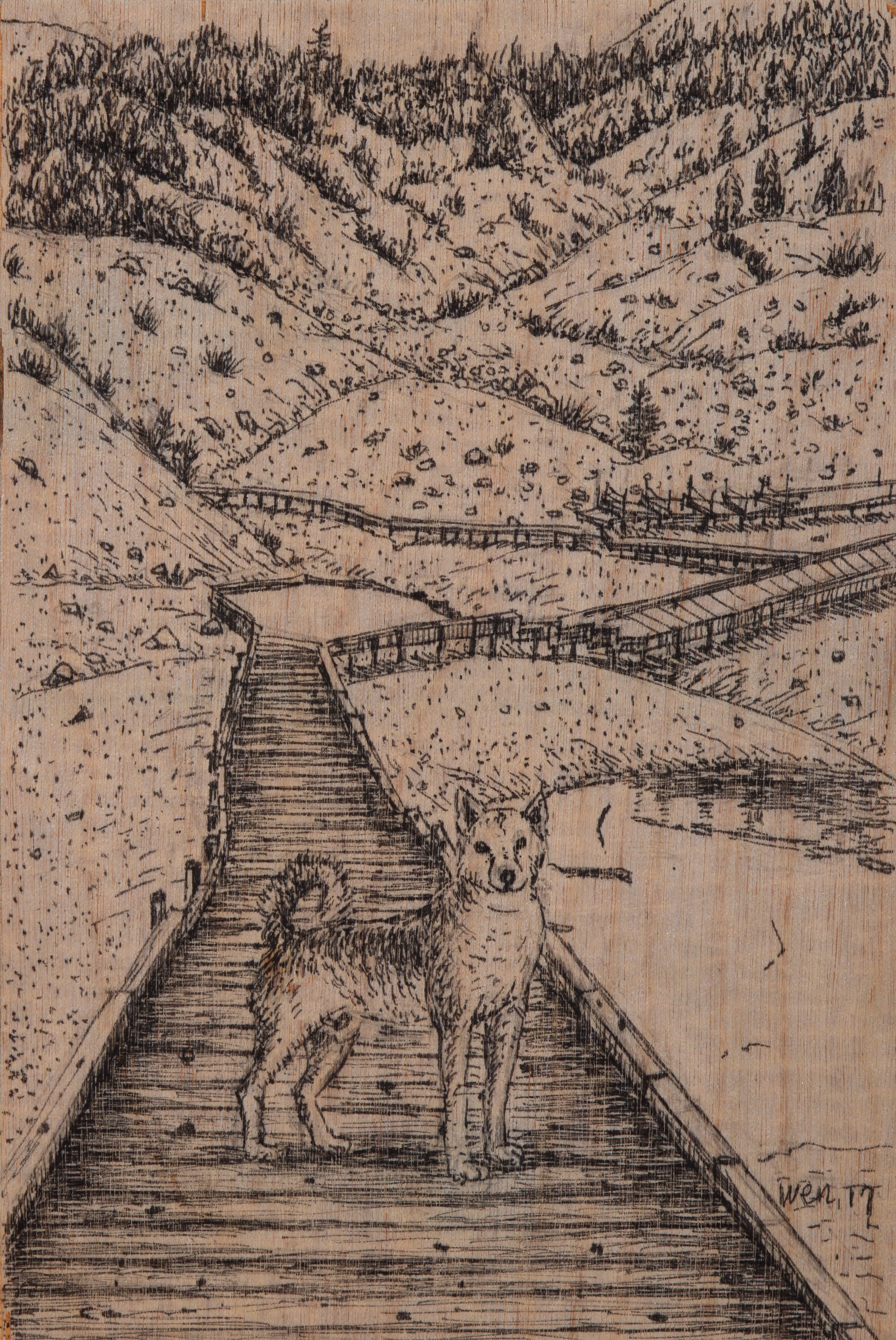 Ted Wen文桂川: Dog on wooden path