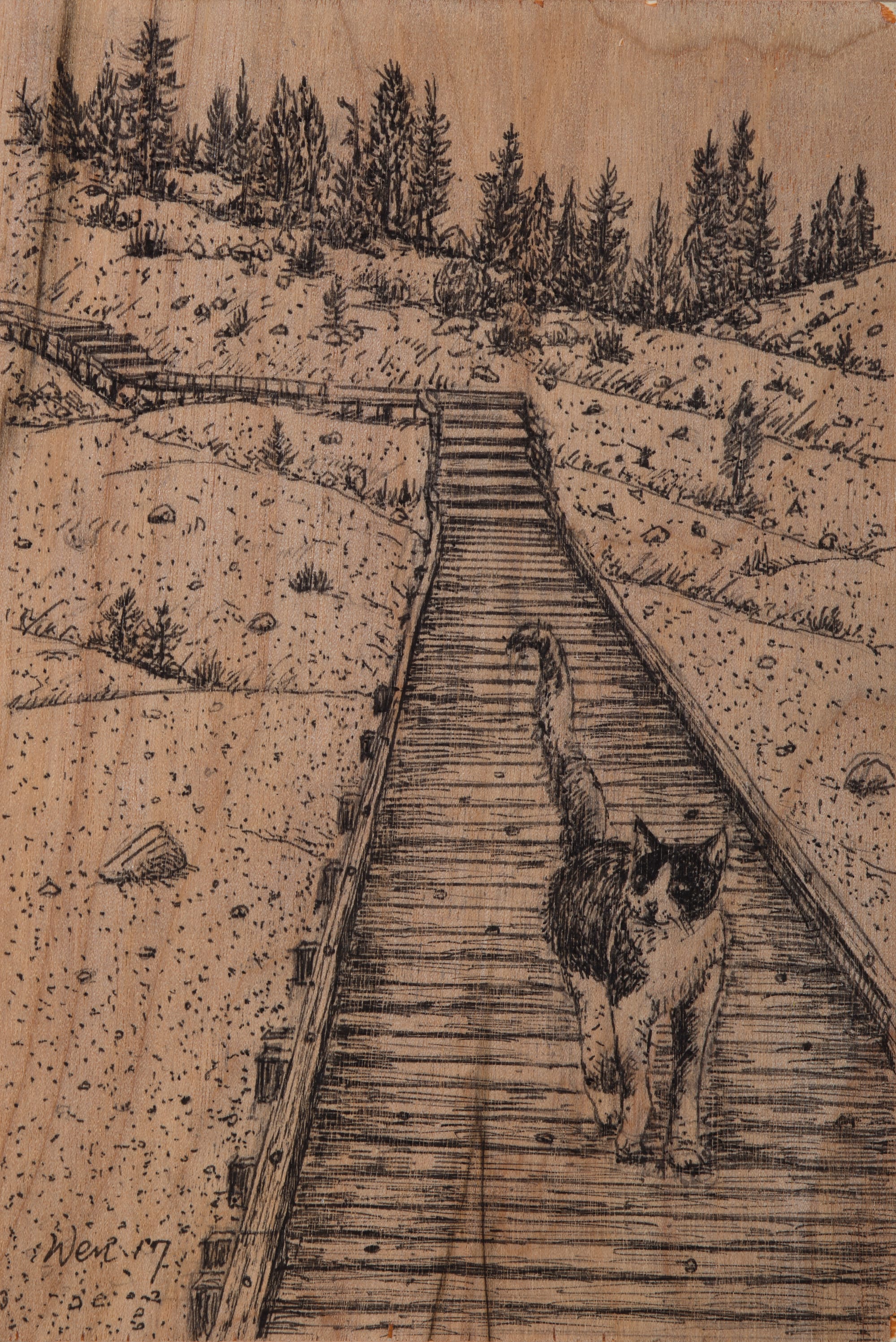 Ted Wen文桂川: Cat on Wooden Path