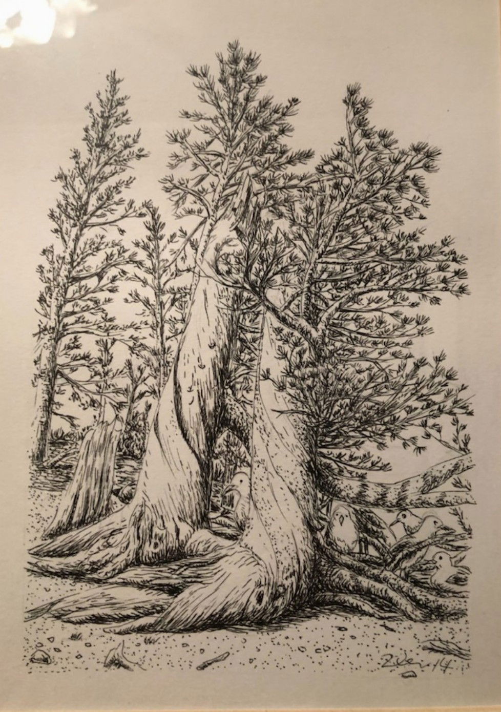 Ted  Wen  文桂川 Birds and  Trees #2